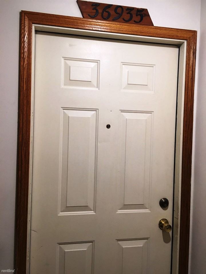 36935 Brewster Ln - Photo 3 of 25