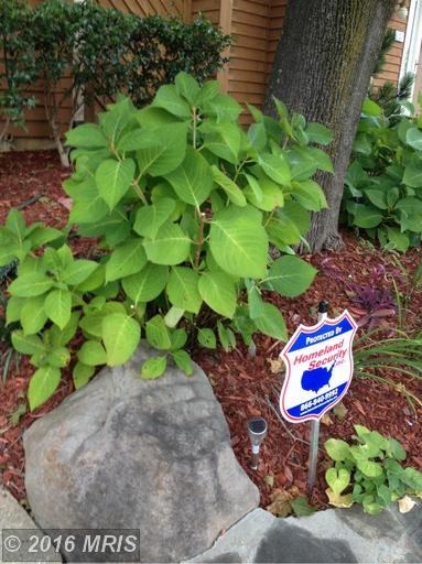 1357 Hazel Nut Ct - Photo 3 of 13