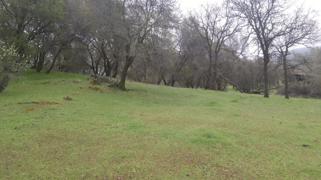 7409 State Highway 49 N - Photo 2 of 3