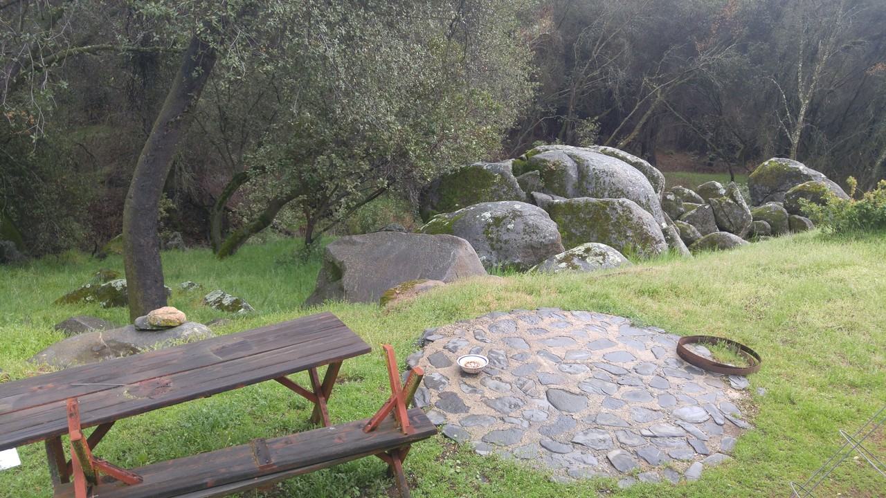 7409 State Highway 49 N - Photo 3 of 3