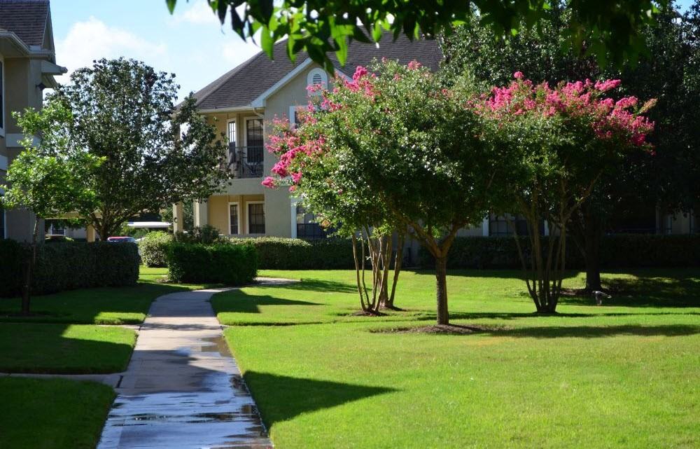 Kingston Villas Apartments for Rent 21540 Provincial Blvd, Katy, TX