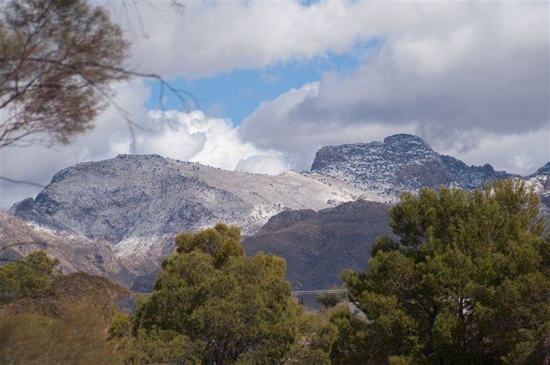 Altamira Apartments - Photo 3 of 10