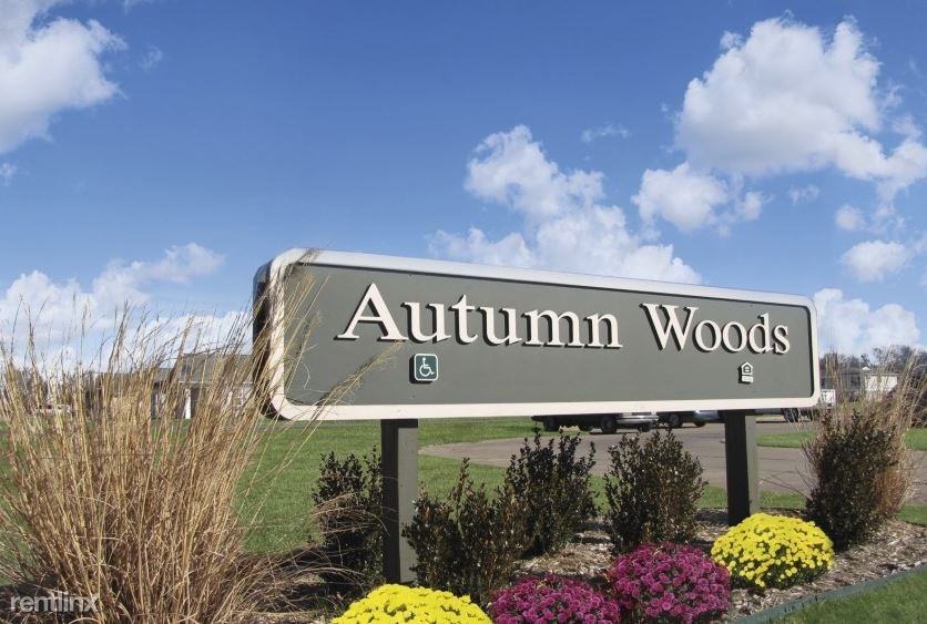 Autumn Woods - Photo 2 of 10