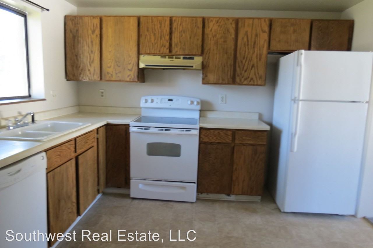 1420 Raindance Dr - Photo 3 of 12