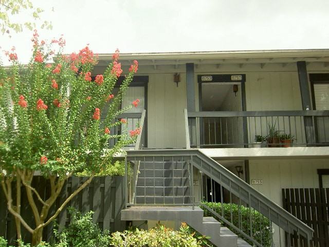 8753 Como Lake Dr - Photo 2 of 9