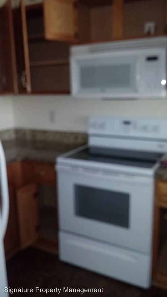 6619 Snow Geese Ln - Photo 3 of 12