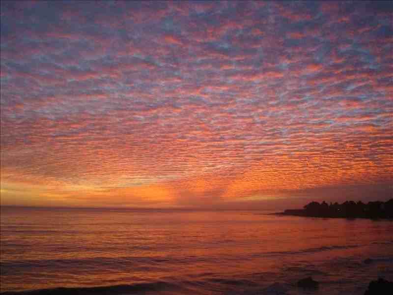 200-290 Alta Ave - Photo 2 of 25