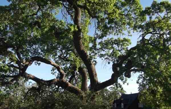 16 Cumorah Ln - Photo 3 of 12