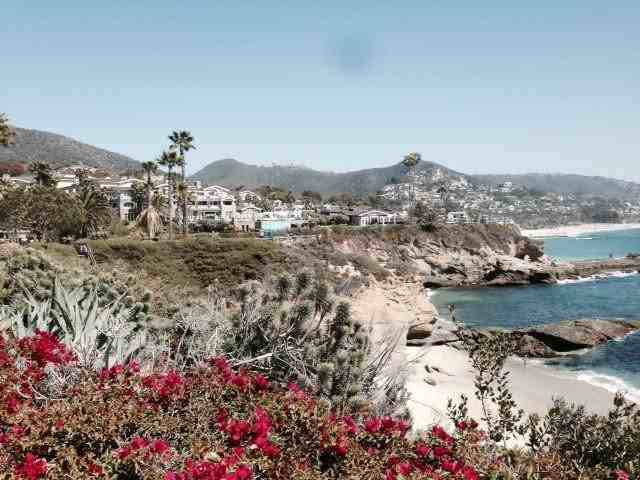 2518 Encina Way - Photo 3 of 37