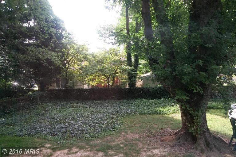 7429 Tillman Dr - Photo 3 of 14