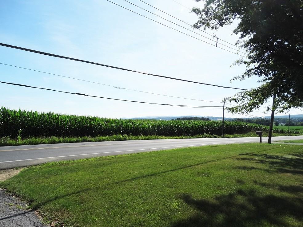 3057 S 5th Ave - Photo 2 of 23