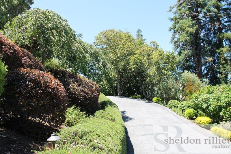 420 El Centro Road - Photo 3 of 13