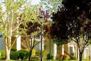 Mountain Vista Apts. - Photo 3 of 9