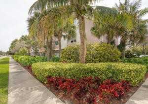 505 NE 20th Ave #115