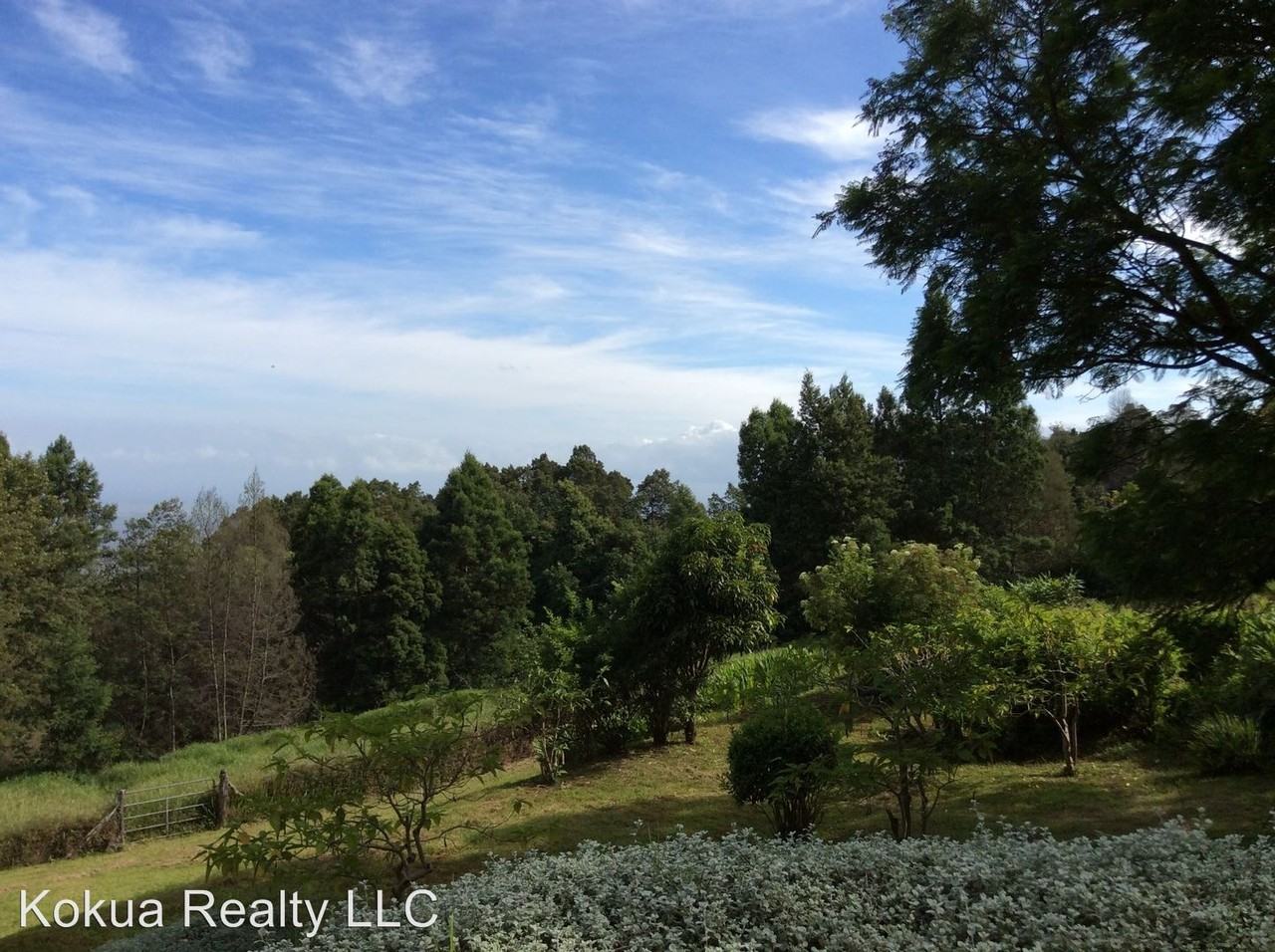 Middle Road - Photo 2 of 38