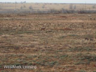 15401 FM2528 - Photo 3 of 26