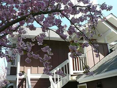 Veridian Cove - Photo 3 of 6