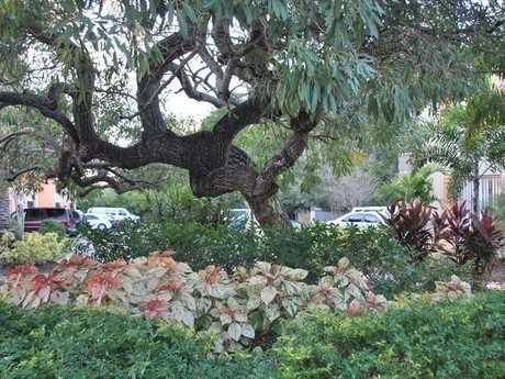 Banyan Trail Apartments - Sarasota, FL - Photo 2 of 6