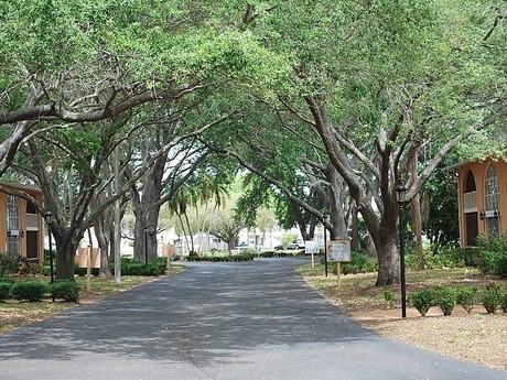 Banyan Trail Apartments - Sarasota, FL - Photo 3 of 6