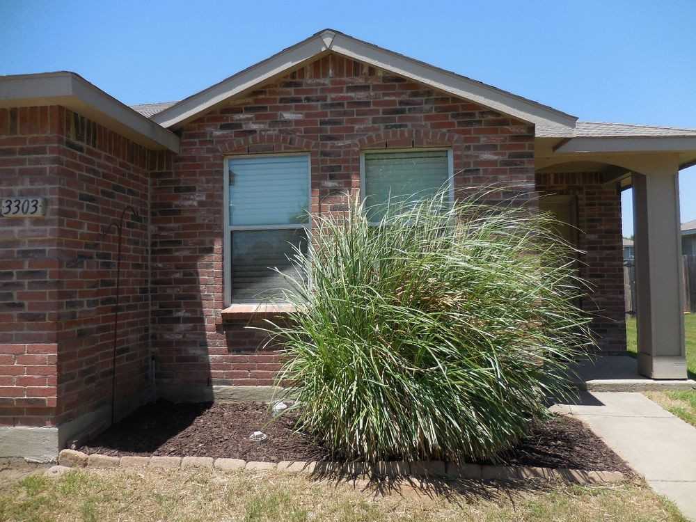 3303 Friesian Ct - Photo 2 of 12