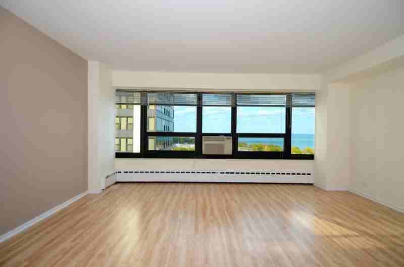 N Lake Shore Dr #656