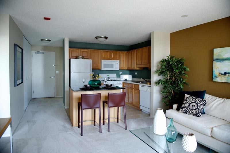 405 East South Water Street #1008