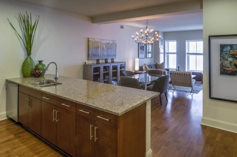 Lower North Lake Shore Dr #1975