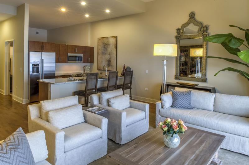 Lower North Lake Shore Dr #1197