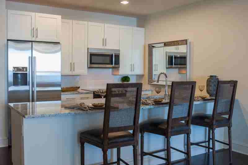 Lower North Lake Shore Dr #1454