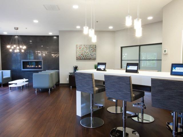 Vesta - Photo 2 of 7