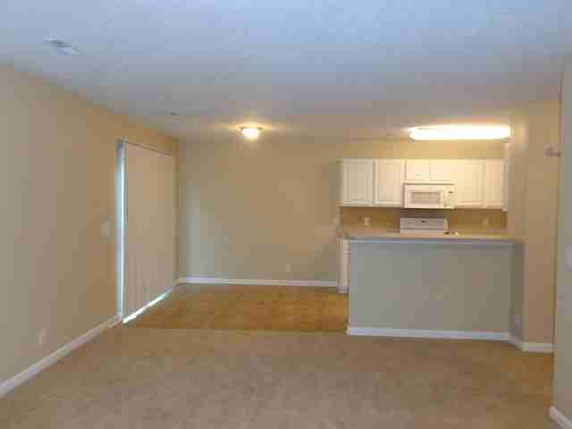 2808 Paddle Wheel Dr - Photo 3 of 10