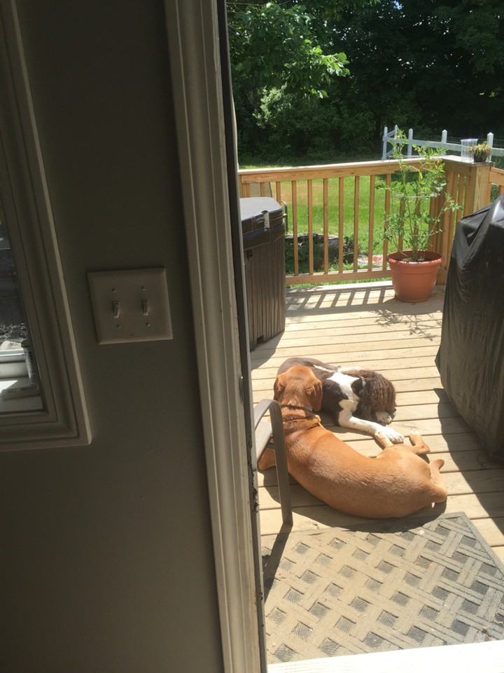 389 Gray Road A - Photo 2 of 19