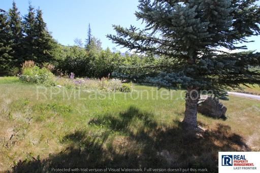 5911 Austria Dr - Photo 2 of 44