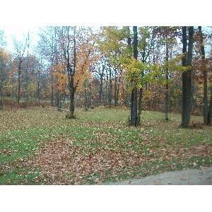 2705 Deschepper Dr - Photo 2 of 9