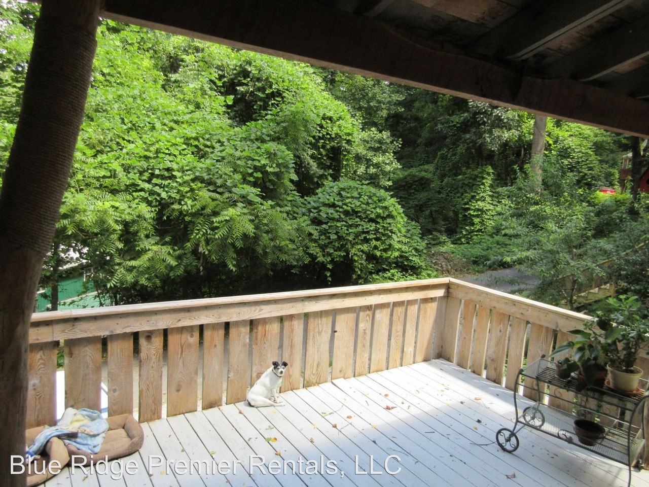 26 Yodelers Holler - Photo 3 of 13