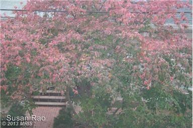 2716 Ordway St NW #4 - Photo 3 of 19