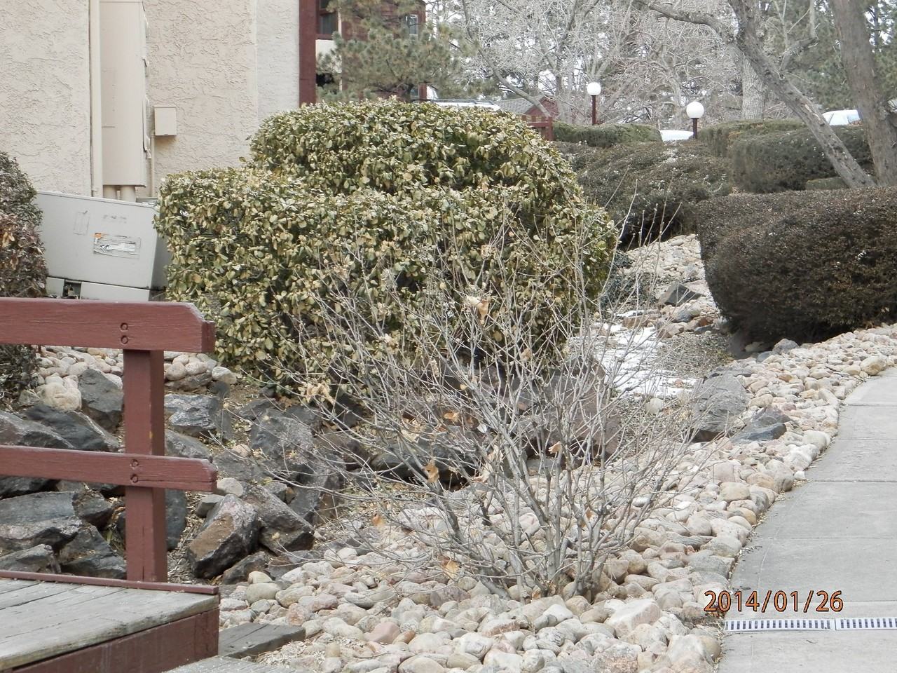 6470 S Dayton St - Photo 2 of 13