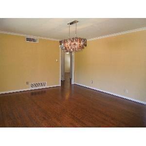 623 Downing Dr - Photo 3 of 19