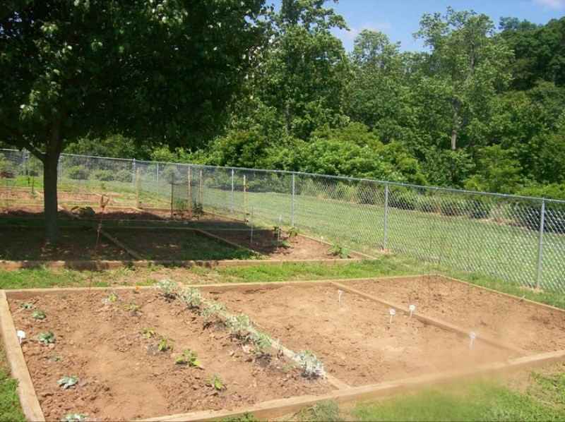 829 Mallside Forest Court - Photo 2 of 2