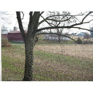 3172 Bricker Rd - Photo 2 of 10