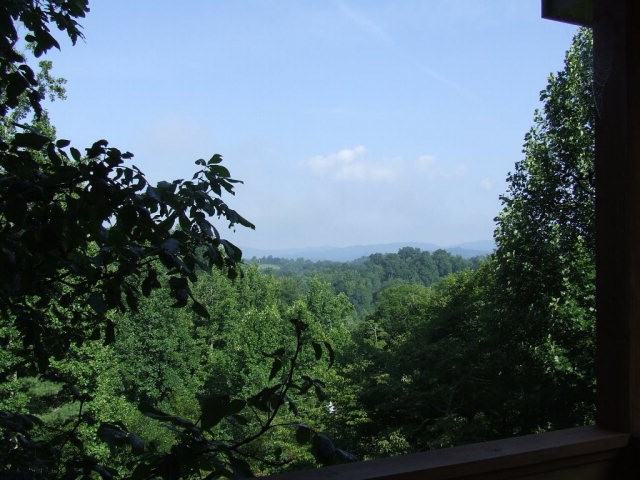 323 Crest Line Drive - Photo 2 of 9