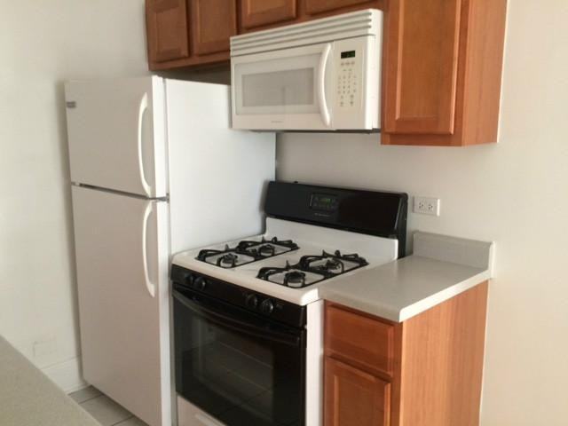 1301 W Argyle St #308