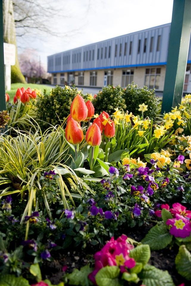 650 S Orcas St - Photo 2 of 8