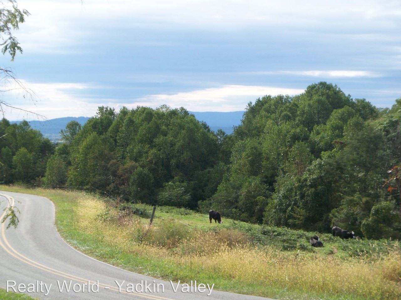 482 Chestnut Ridge Rd - Photo 2 of 10