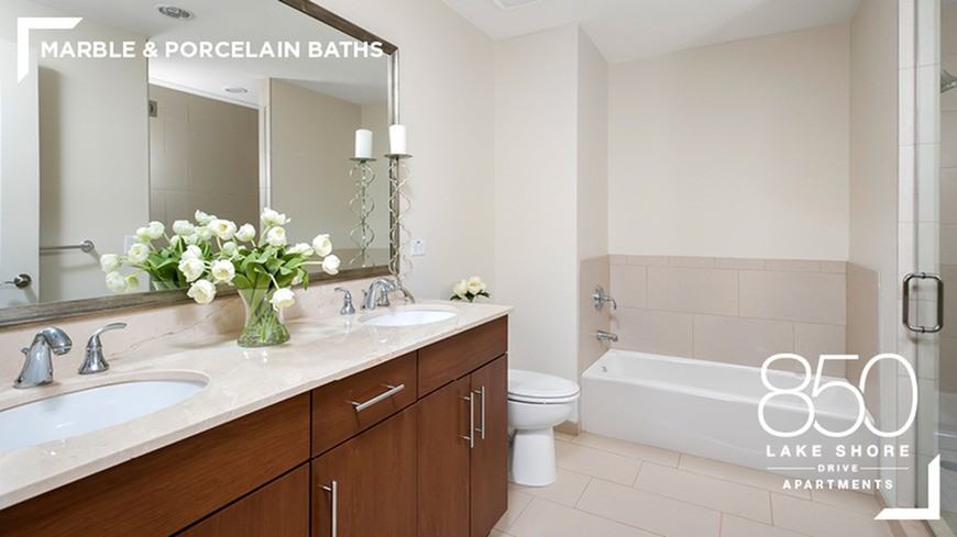 850 Lake Shore Drive - Photo 2 of 20