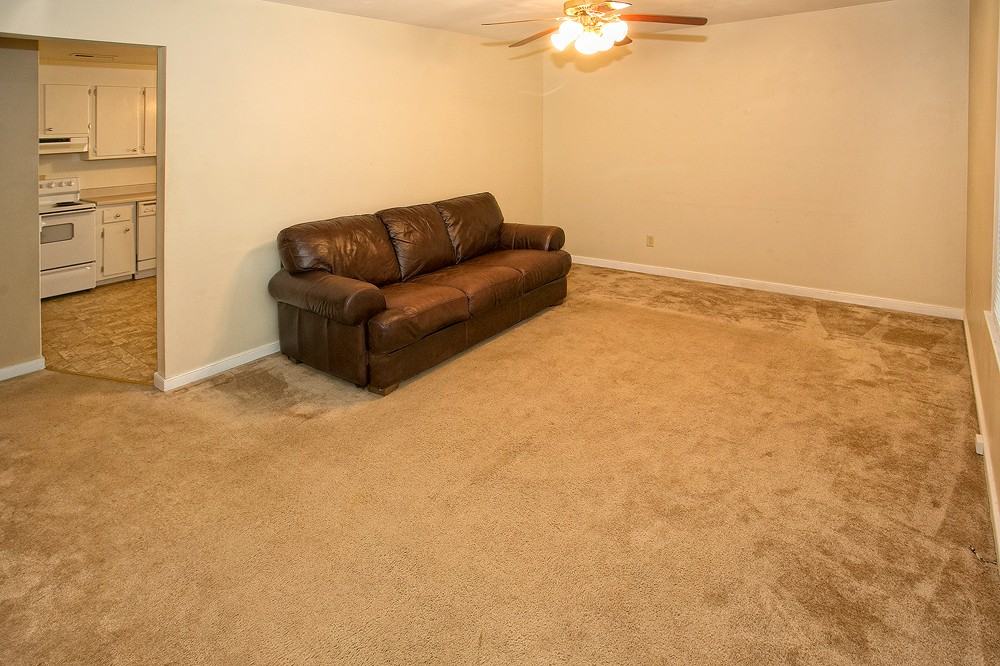 8742 Shadymist Drive - Photo 3 of 8