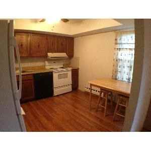 1009 Ski Mountain Dr - Photo 3 of 11