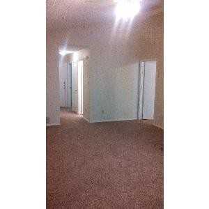 3913 Bond St - Photo 3 of 11