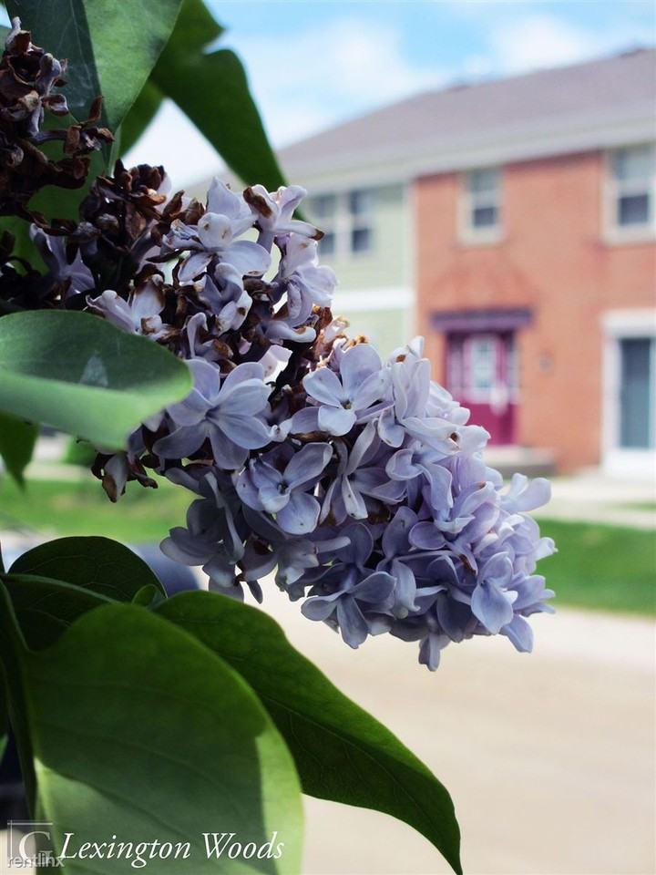 Lexington Woods Apartments - Photo 3 of 7