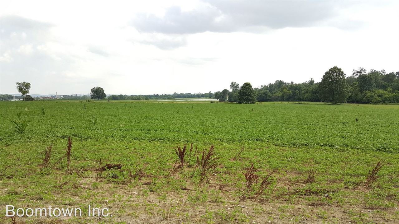 5002 Burkittsville Rd - Photo 2 of 5